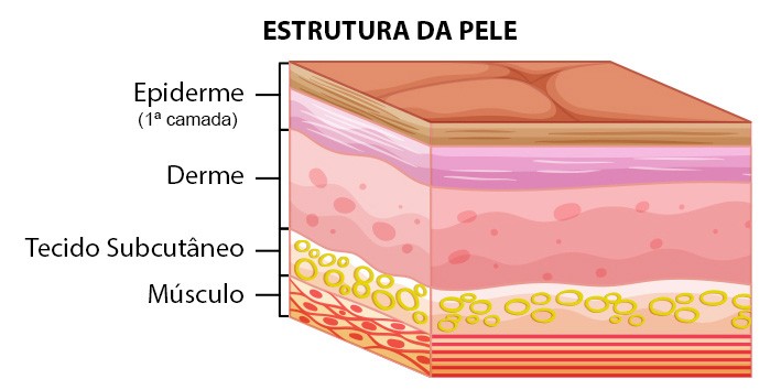 Coenzima Q10 como tomar pele oleosa mista seca iluminada